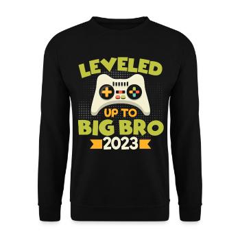Leveled Up to Big Brother 2023 - Unisex Sweatshirt - black - Front - Alina (178cm) & Michal (187cm)