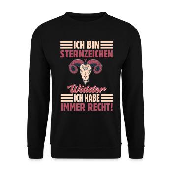 Sternzeichen Widder - Unisex Pullover - Schwarz - Vorne - Alina (178cm) & Michal (187cm)
