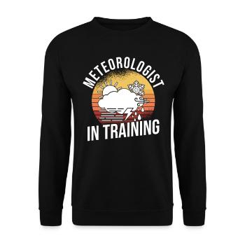 Meteorologe Wetterfrosch Meteorologie Spruch - Unisex Pullover - Schwarz - Vorne - Alina (178cm) & Michal (187cm)