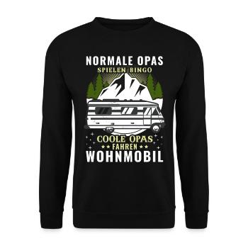 Normale Opas Bingo Coole Opas Fahren Wohnmobil - Unisex Pullover - Schwarz - Vorne - Alina (178cm) & Michal (187cm)