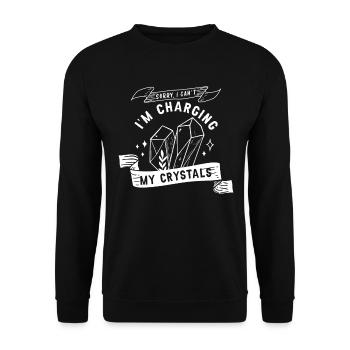 Energy Medicine Reiki Crystals Energy Healer - Unisex Sweatshirt - black - Front - Alina (178cm) & Michal (187cm)