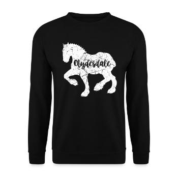 Chemise Clydesdale Clydesdale Rider - Sweat-shirt Unisexe - noir - Devant - Alina (178cm) & Michal (187cm)