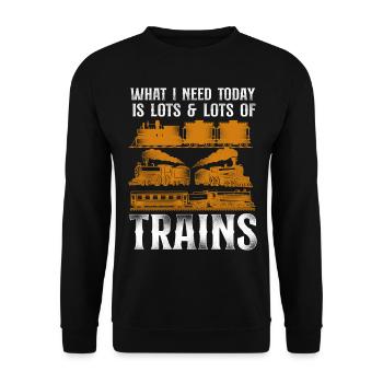 Steam Train Driver Trainspotting - Unisex Pullover - Schwarz - Vorne - Alina (178cm) & Michal (187cm)