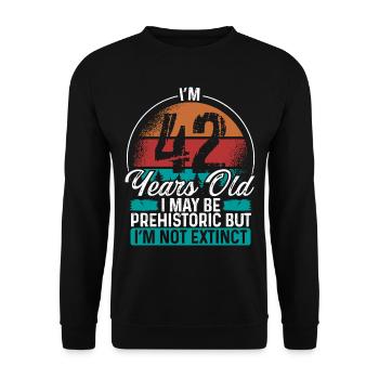 42 Birthday Idea Men Birthdays Funny 42 Year Old - Unisex Pullover - Schwarz - Vorne - Alina (178cm) & Michal (187cm)