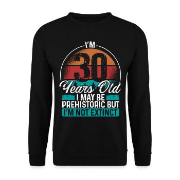 30 Birthday Idea Men Birthdays Funny 30 Year Old - Unisex Sweatshirt - black - Front - Alina (178cm) & Michal (187cm)