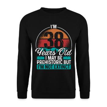 38 Birthday Idea Men Birthdays Funny 38 Year Old - Unisex Pullover - Schwarz - Vorne - Alina (178cm) & Michal (187cm)