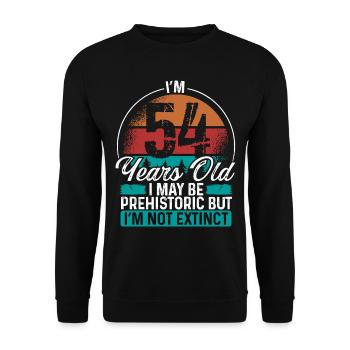 54 Birthday Idea Men Birthdays Funny 54 Year Old - Unisex Pullover - Schwarz - Vorne - Alina (178cm) & Michal (187cm)
