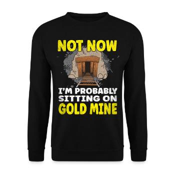 Not now I'm probably sitting on a Gold Mine - Unisex Pullover - Schwarz - Vorne - Alina (178cm) & Michal (187cm)