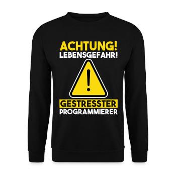 Programmieren Entwickler Coder Programmierer - Unisex Pullover - Schwarz - Vorne - Alina (178cm) & Michal (187cm)