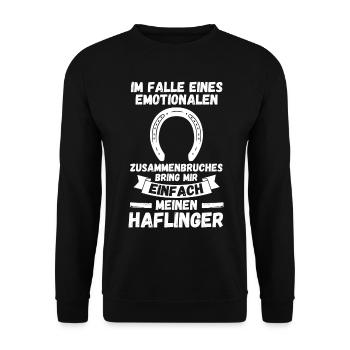Pferd Reitsport Reiten Pferdesport Haflinger - Unisex Pullover - Schwarz - Vorne - Alina (178cm) & Michal (187cm)