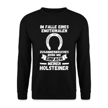 Pferd Reitsport Reiten Pferdesport Holsteiner - Unisex Pullover - Schwarz - Vorne - Alina (178cm) & Michal (187cm)
