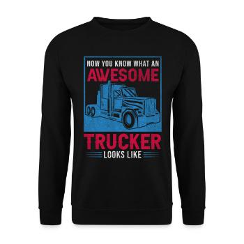 Now You Know What An Awesome Trucker Looks Like - Unisex Pullover - Schwarz - Vorne - Alina (178cm) & Michal (187cm)