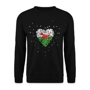 Wales Walesflagge Walesfahne Walesfan Sportfan - Unisex Pullover - Schwarz - Vorne - Alina (178cm) & Michal (187cm)