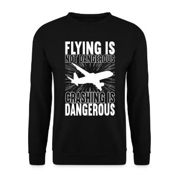 Pilot Flugzeug - Unisex Pullover - Schwarz - Vorne - Alina (178cm) & Michal (187cm)