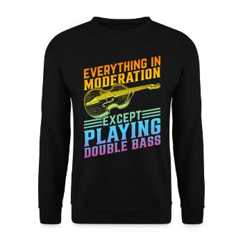 Double Bassist Double Bass Musician - Unisex Pullover - Schwarz - Vorne - Alina (178cm) & Michal (187cm)