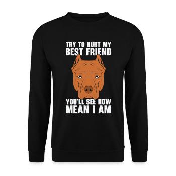 Mean Pet Pitbull Hundehalter American Bully - Unisex Pullover - Schwarz - Vorne - Alina (178cm) & Michal (187cm)