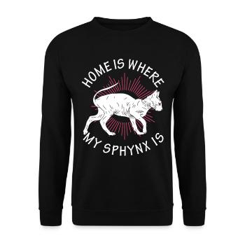 Zuhause Ist, Wo Mein Sphynx Kätzchen Ist - Unisex Pullover - Schwarz - Vorne - Alina (178cm) & Michal (187cm)