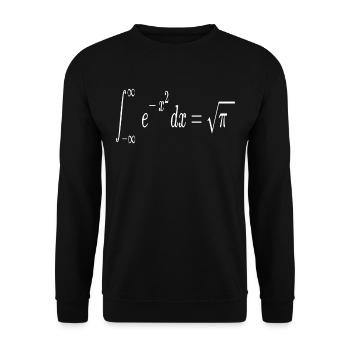Gaussian integral Mathematische mathematische - Unisex Pullover - Schwarz - Vorne - Alina (178cm) & Michal (187cm)