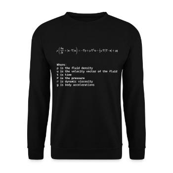 Navier Stokes Equation Fundamental Fluid Dynamics - Unisex Sweatshirt - black - Front - Alina (178cm) & Michal (187cm)