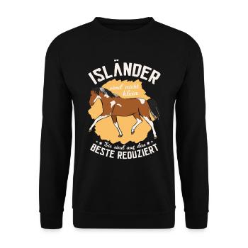 Islandpferd Isi Tölt Isländer Islandpferde - Unisex Pullover - Schwarz - Vorne - Alina (178cm) & Michal (187cm)