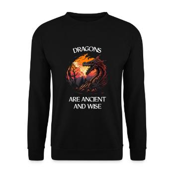 Créature mythique Dragon Cadeau Hommes Dragon pour un - Sweat-shirt Unisexe - noir - Devant - Alina (178cm) & Michal (187cm)