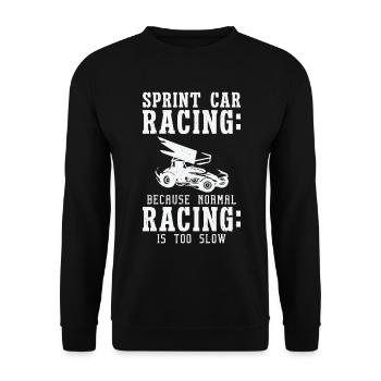 Sprint Car Dirt Track Racing - Unisex Sweatshirt - black - Front - Alina (178cm) & Michal (187cm)