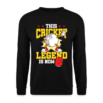 Diese Cricket-legende Ist Jetzt 6 Sport Kind 6. - Unisex Pullover - Schwarz - Vorne - Alina (178cm) & Michal (187cm)