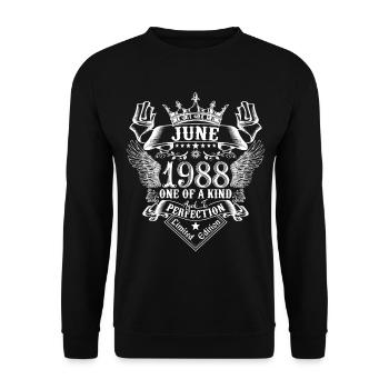 Juni 1988 Jahrestag Juni 1988 Juni - Unisex Pullover - Schwarz - Vorne - Alina (178cm) & Michal (187cm)