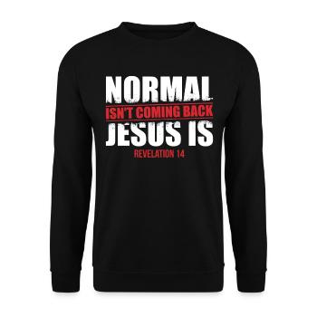 The normal does not come back Revelation - Unisex Sweatshirt - black - Front - Alina (178cm) & Michal (187cm)