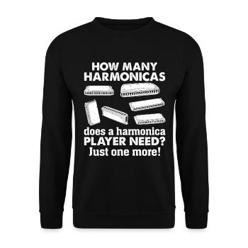 How Many Harmonicas Does A Harmonica Player Need? - Unisex Pullover - Schwarz - Vorne - Alina (178cm) & Michal (187cm)