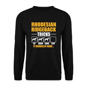 Astuces Rhodesian Ridgeback - Sweat-shirt Unisexe - noir - Devant - Alina (178cm) & Michal (187cm)
