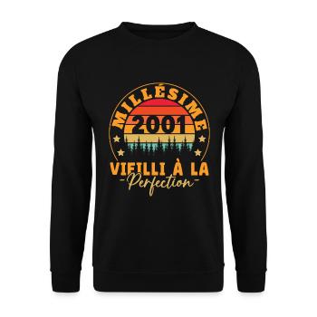 Millésime 2001, Cadeau D'anniversaire Vintage 2001 - Sweat-shirt Unisexe - noir - Devant - Alina (178cm) & Michal (187cm)