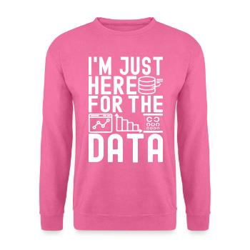 Data Science Datenanalyst - Unisex Pullover - Pink - Vorne