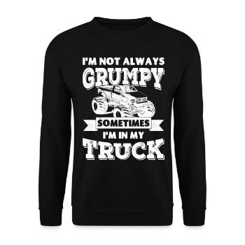 Je ne suis pas toujours , parfois je suis dans mon camion - Sweat-shirt Unisexe - noir - Devant - Alina (178cm) & Michal (187cm)