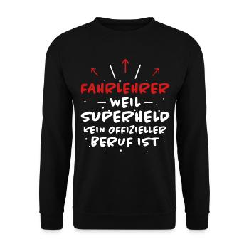 Fahrlehrer Spruch Lustige Fahrschullehrer Geschenk - Unisex Pullover - Schwarz - Vorne - Alina (178cm) & Michal (187cm)