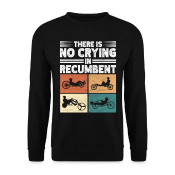Recumbent Trike Liegetrike Liegedreirad - Unisex Pullover - Schwarz - Vorne - Alina (178cm) & Michal (187cm)