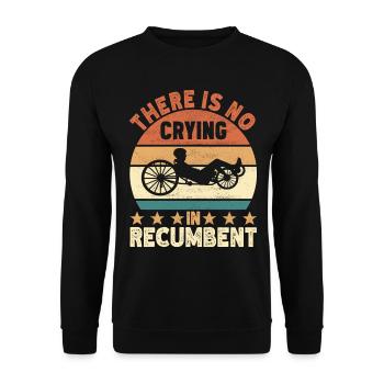 Recumbent Trike Liegetrike Liegedreirad - Unisex Pullover - Schwarz - Vorne - Alina (178cm) & Michal (187cm)