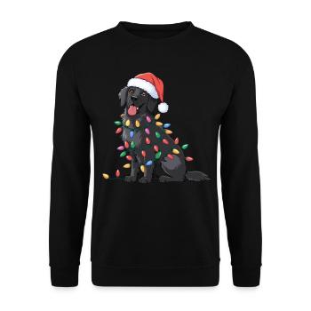 Retriever à poil plat Noël lumières de Noël chiens - Sweat-shirt Unisexe - noir - Devant - Alina (178cm) & Michal (187cm)