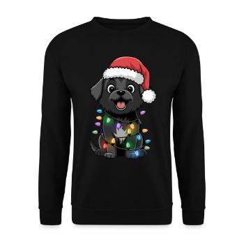 Schipperke Christmas Lights Xmas Dogs Gifts - Unisex Pullover - Schwarz - Vorne - Alina (178cm) & Michal (187cm)