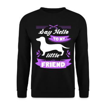Dachshund Say Hello To My Dachshund - Unisex Sweatshirt - black - Front - Alina (178cm) & Michal (187cm)