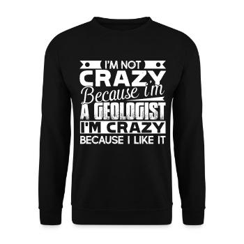 Geologist I Like Geologist - Unisex Sweatshirt - black - Front - Alina (178cm) & Michal (187cm)