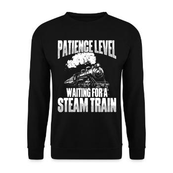 Zugfahrer Lokführer Zugliebhaber Bahnhof - Unisex Pullover - Schwarz - Vorne - Alina (178cm) & Michal (187cm)