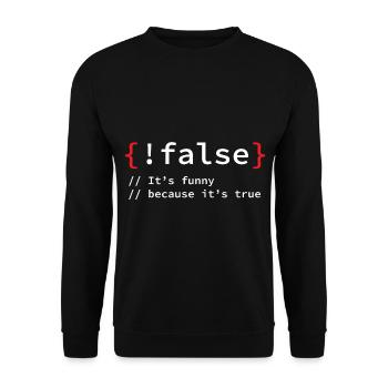 False Programmierer It Informatiker - Unisex Pullover - Schwarz - Vorne - Alina (178cm) & Michal (187cm)