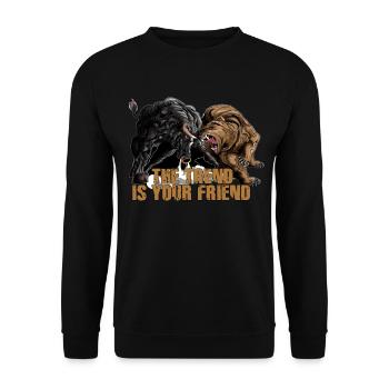 Aktien Börse Trader Stier Bär Geschenk Bull Baer - Unisex Pullover - Schwarz - Vorne - Alina (178cm) & Michal (187cm)