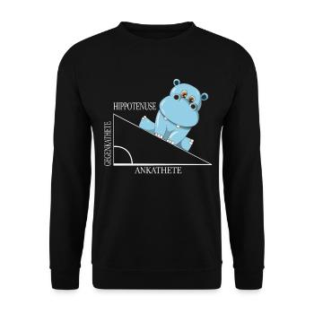 Mathe Hippotenuse Winkelfunktion Hypotenuse Nilpfe - Unisex Pullover - Schwarz - Vorne - Alina (178cm) & Michal (187cm)