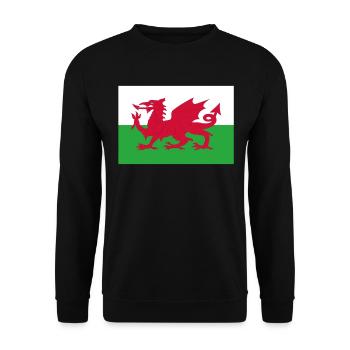 Official Wales Flag Welsh Country Pride - Unisex Sweatshirt - black - Front - Alina (178cm) & Michal (187cm)