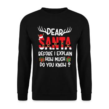 Lieber Weihnachtsmann, bevor ich erkläre, wie viel weißt du? - Unisex Pullover - Schwarz - Vorne - Alina (178cm) & Michal (187cm)