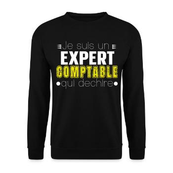 Expert Comptable Comptabilité Cadeau Homme Humour - Sweat-shirt Unisexe - noir - Devant - Alina (178cm) & Michal (187cm)