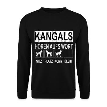Kangals Herrchen Hirtenhunde Hunde Kangal - Unisex Pullover - Schwarz - Vorne - Alina (178cm) & Michal (187cm)
