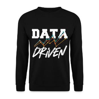Datengesteuerter Befehl für Data Science Collector - Unisex Pullover - Schwarz - Vorne - Alina (178cm) & Michal (187cm)